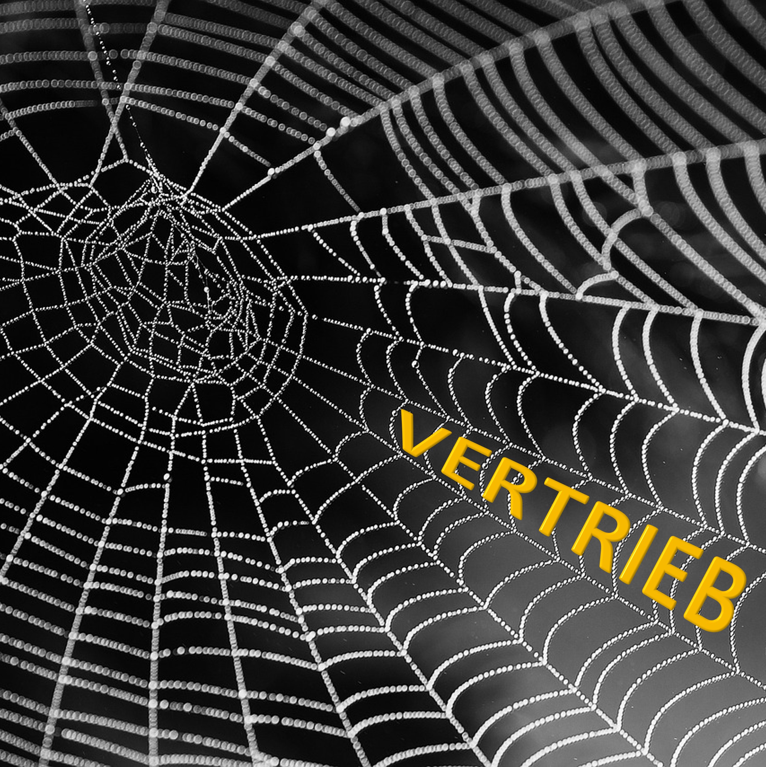 Bild mit dem Wort Vertrieb und ein Spinnennetz
